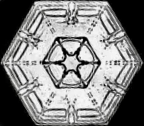 Snowflake Wilson Bentley