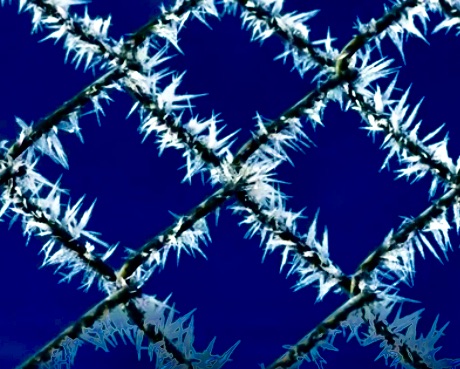 "Hoarfrost"