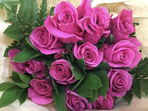 January 4, 2023, Bouquet of Peace