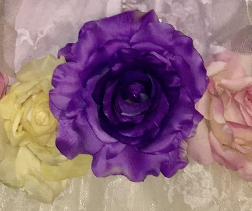 Center of Purple Rose