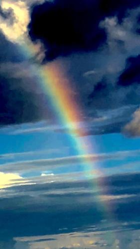 Rainbow 