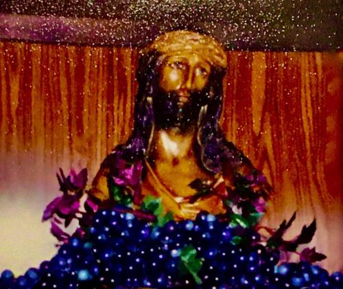 The Father is the Vinedresser and Jesus is the Vine