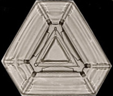 Wilson Bentley Smithsonian Archives